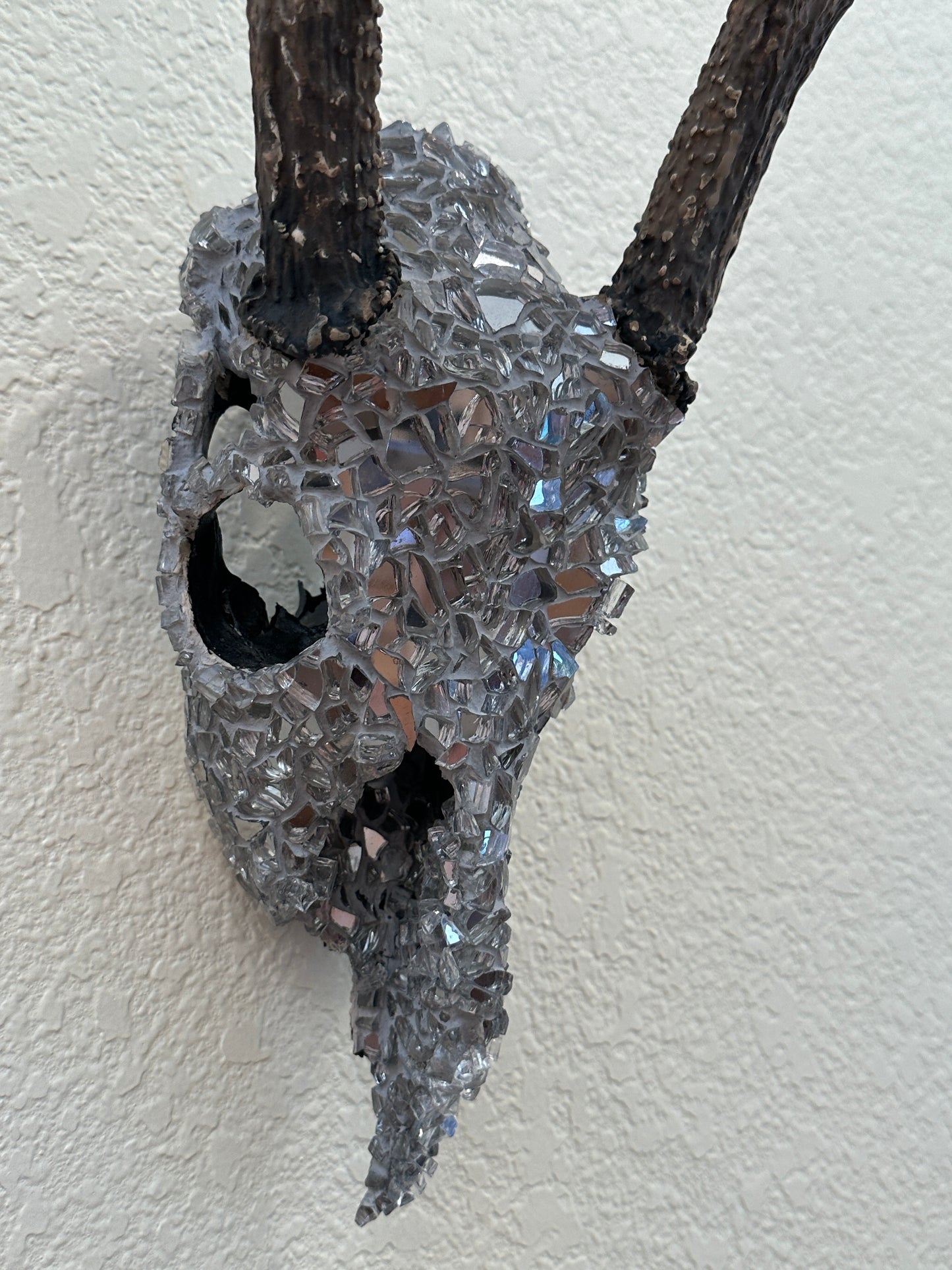 “Into the night” White Tail Skull Art