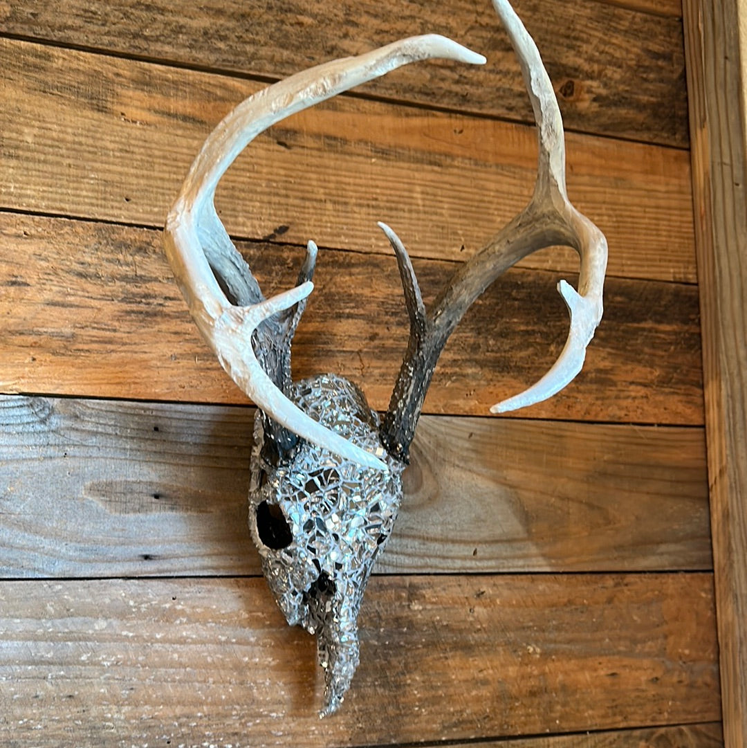 “Into the night” White Tail Skull Art