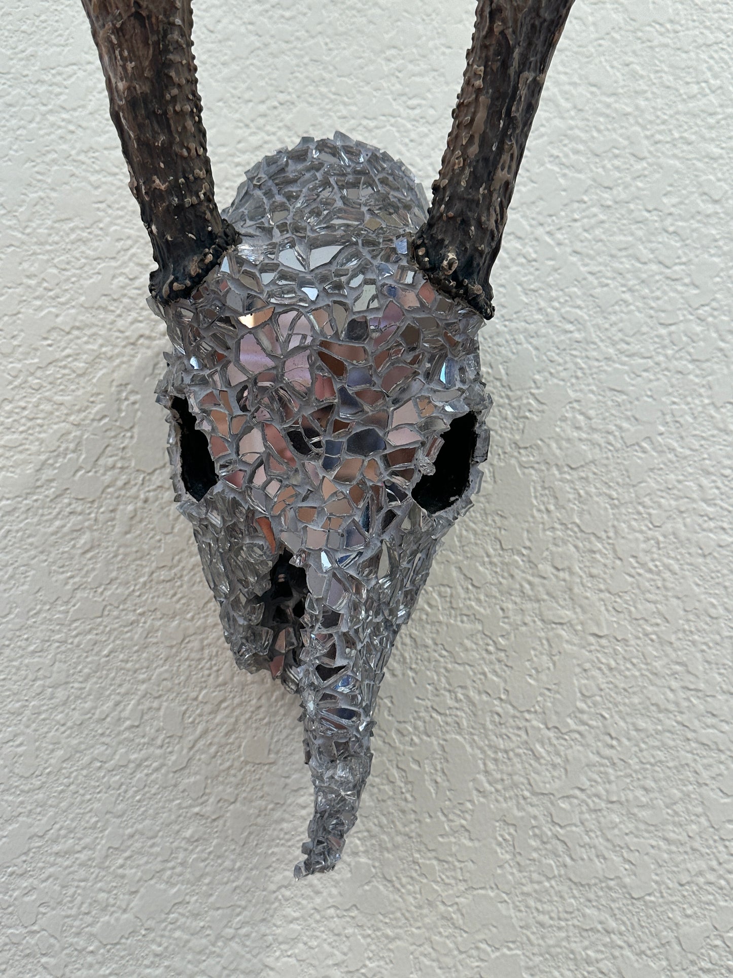 “Into the night” White Tail Skull Art