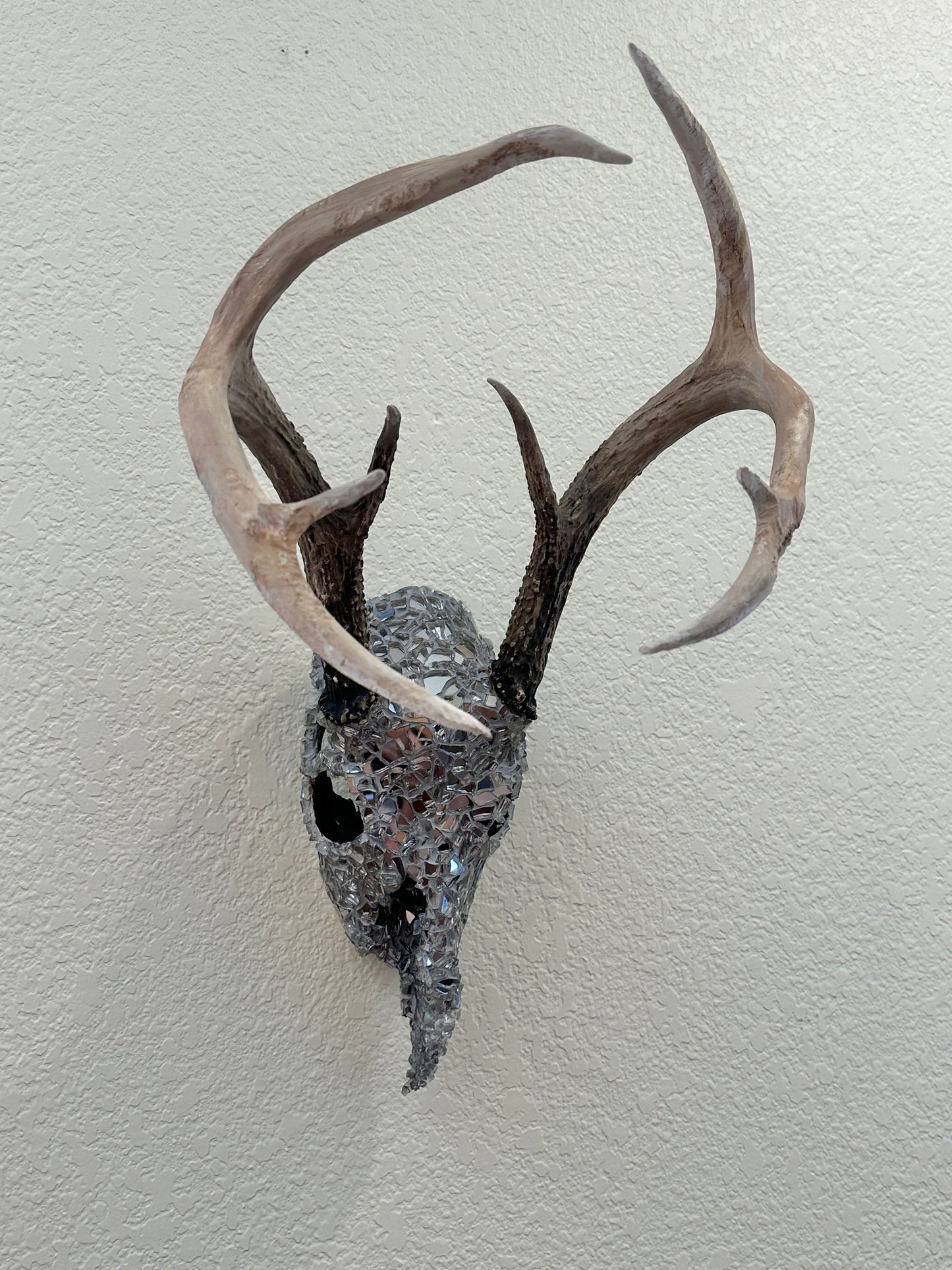 “Into the night” White Tail Skull Art