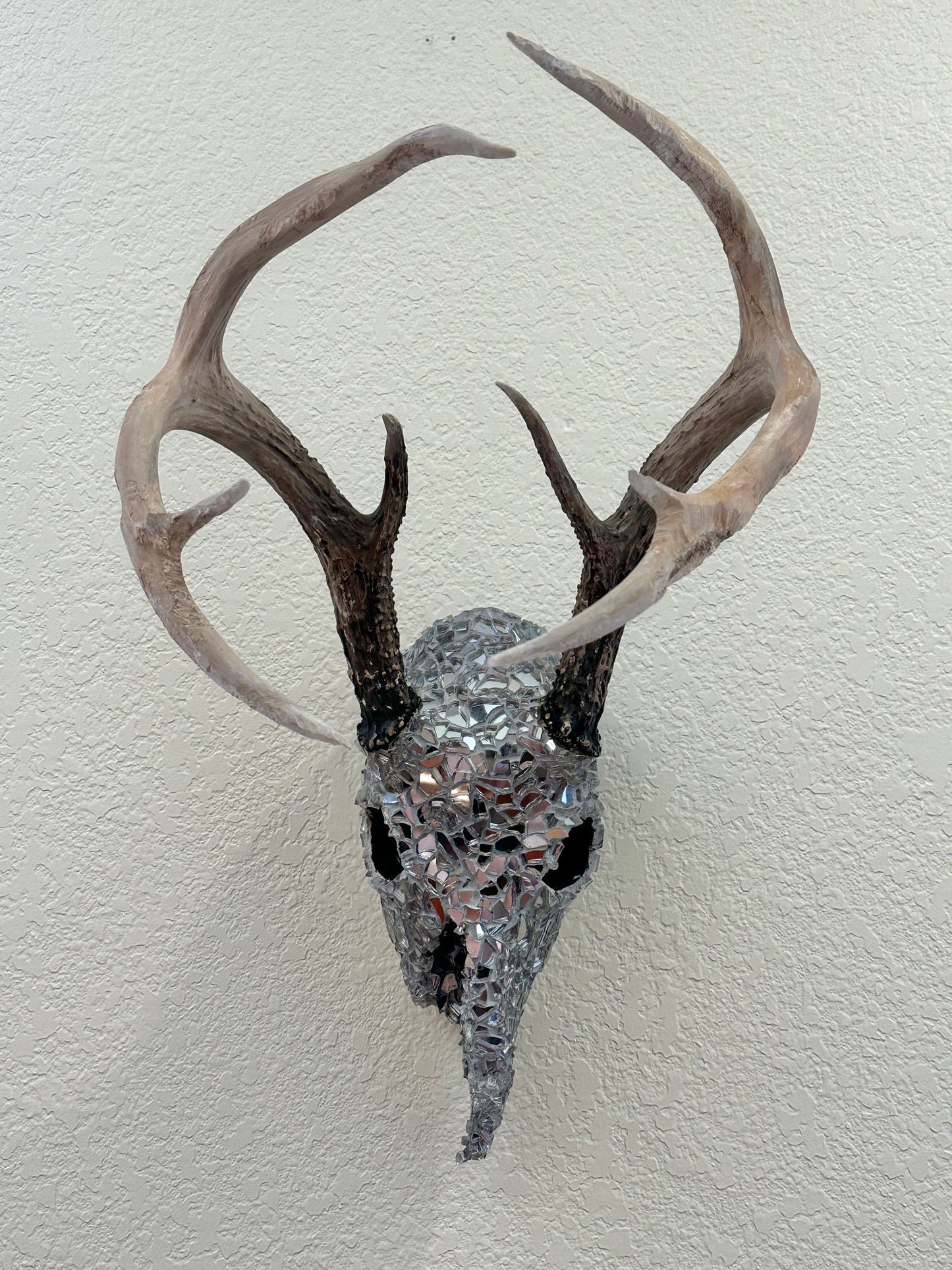 “Into the night” White Tail Skull Art