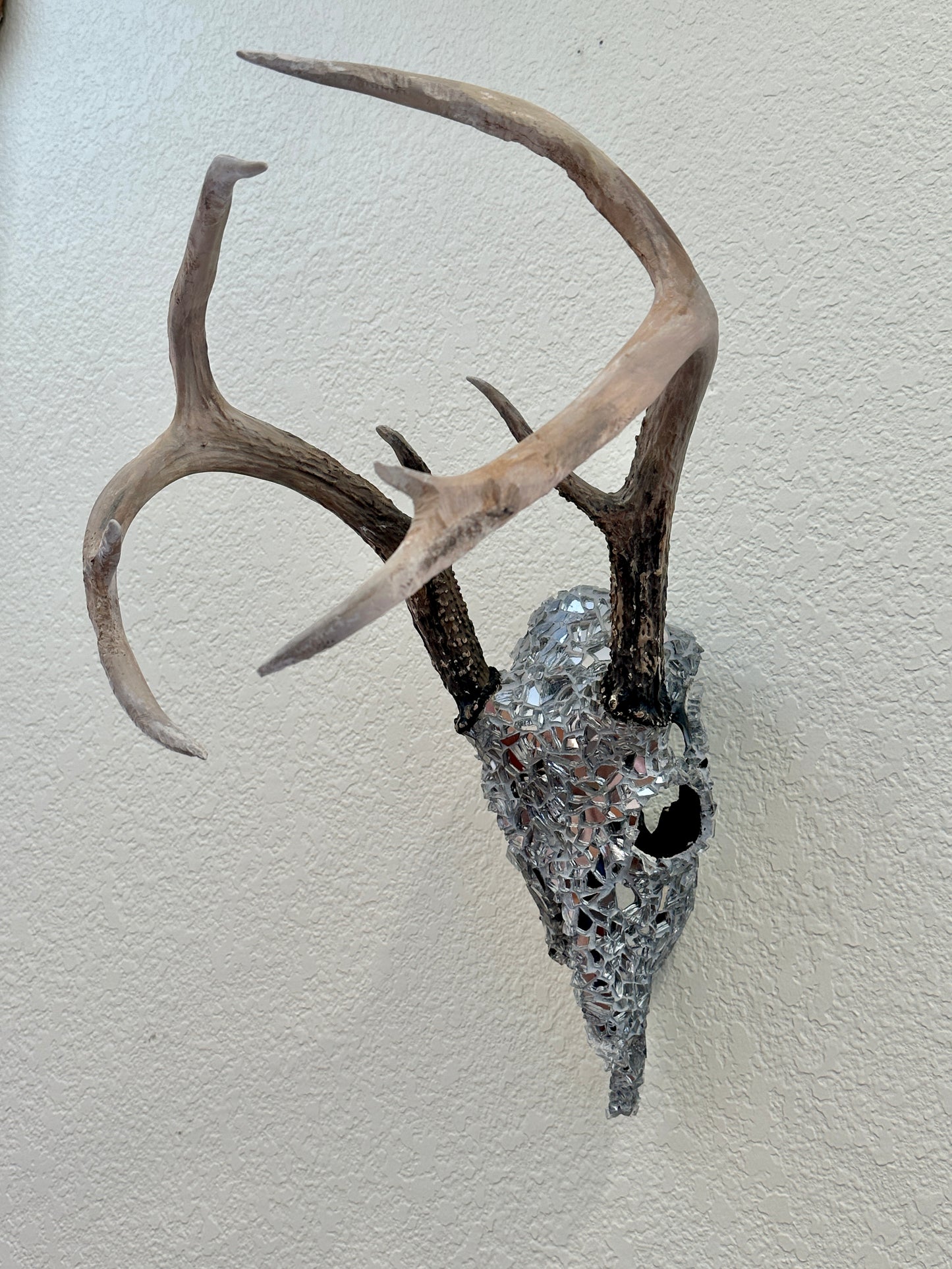 “Into the night” White Tail Skull Art