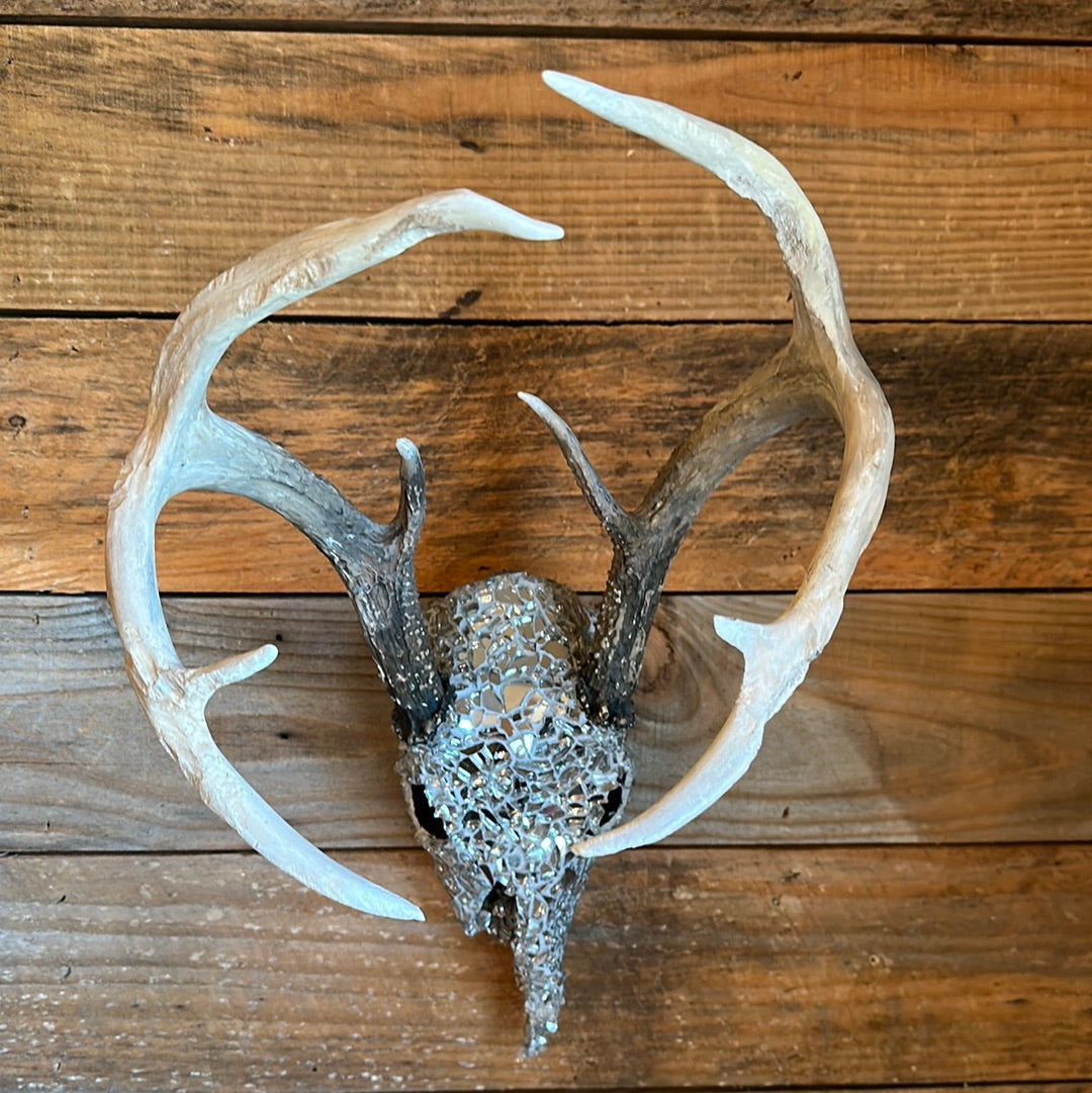 “Into the night” White Tail Skull Art