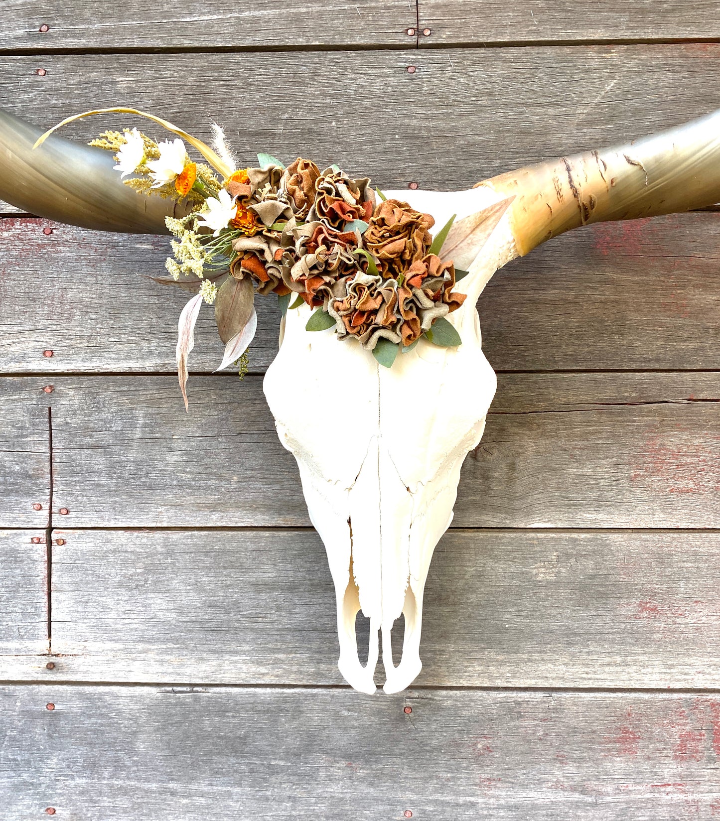 “Oakley” Genuine Texas Longhorn Skull Art