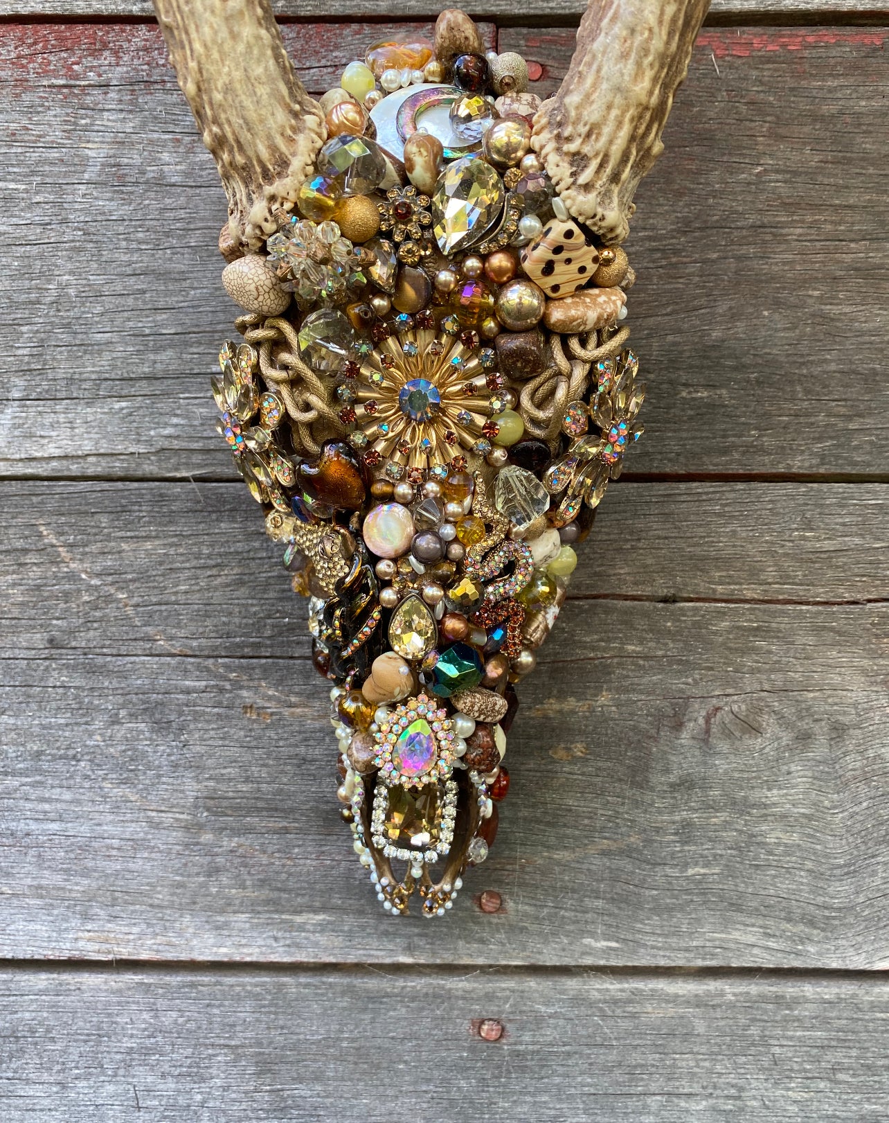 “Derrick” Texas Whitetail Deer Skull Art