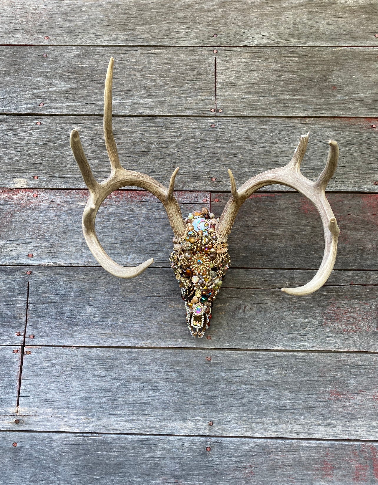 “Derrick” Texas Whitetail Deer Skull Art