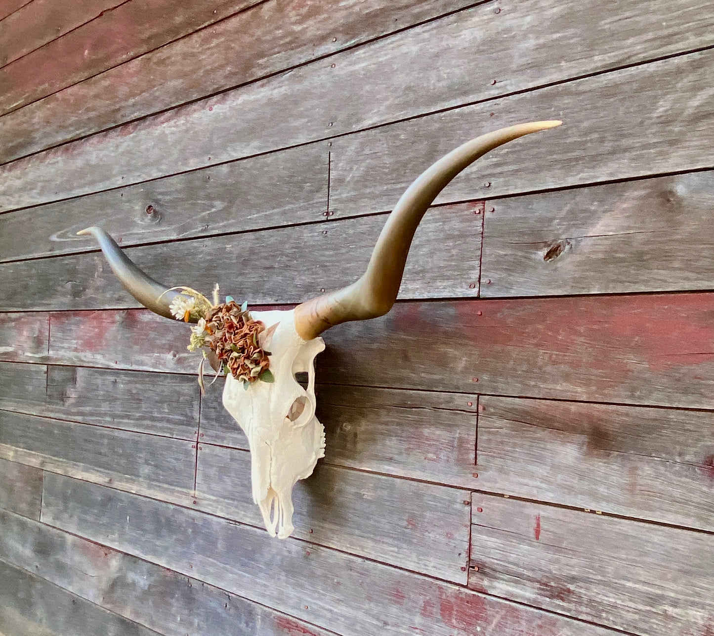 “Oakley” Genuine Texas Longhorn Skull Art