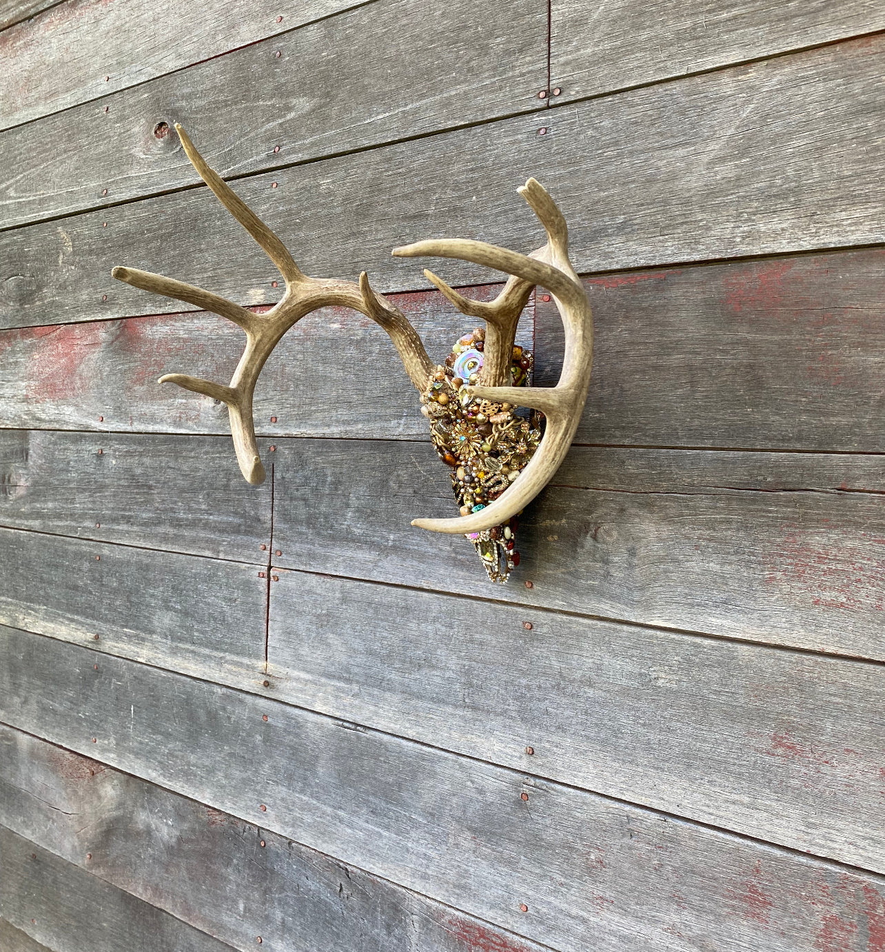 “Derrick” Texas Whitetail Deer Skull Art