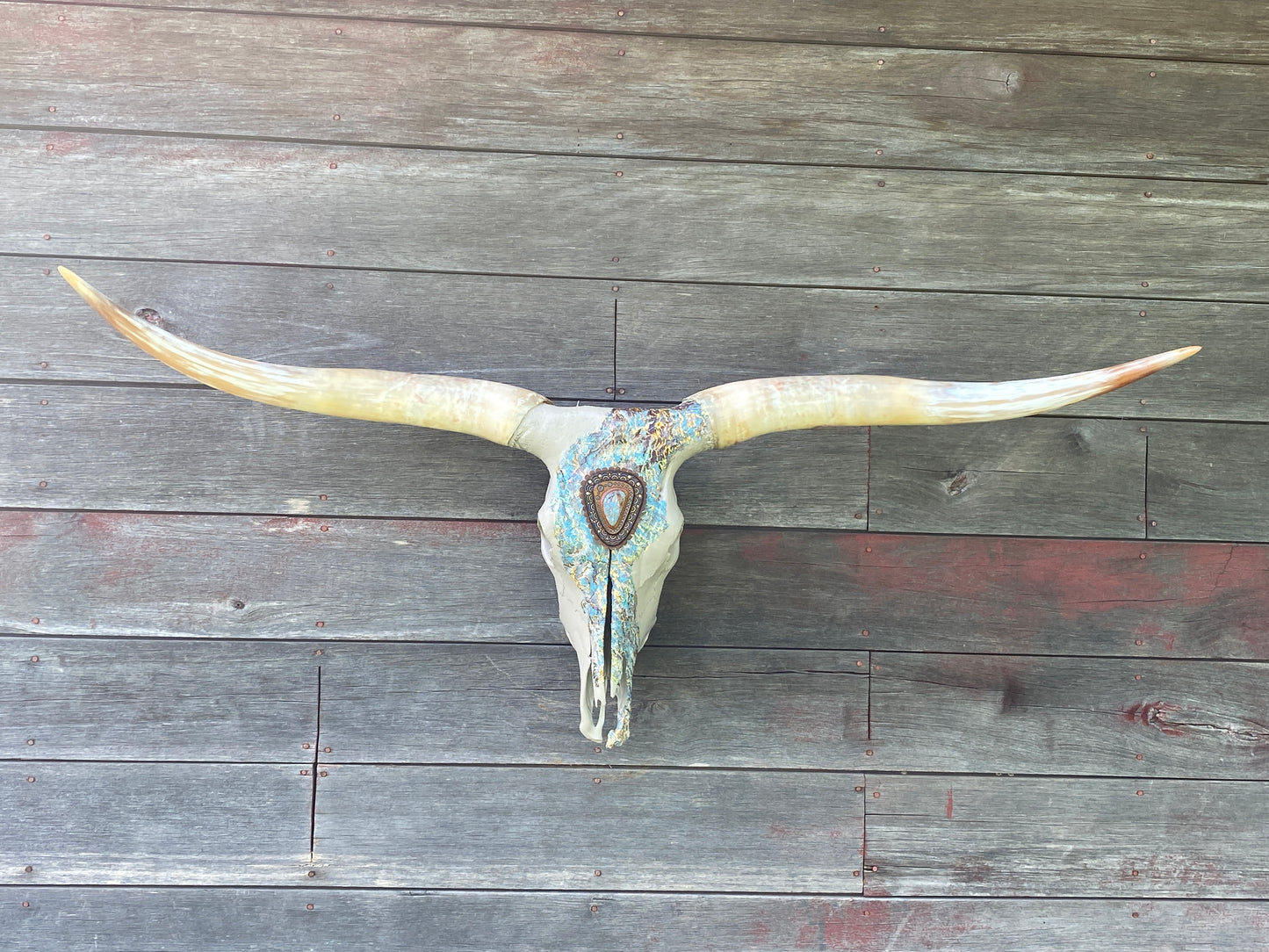 “Aurora” Texas Longhorn Skull Art