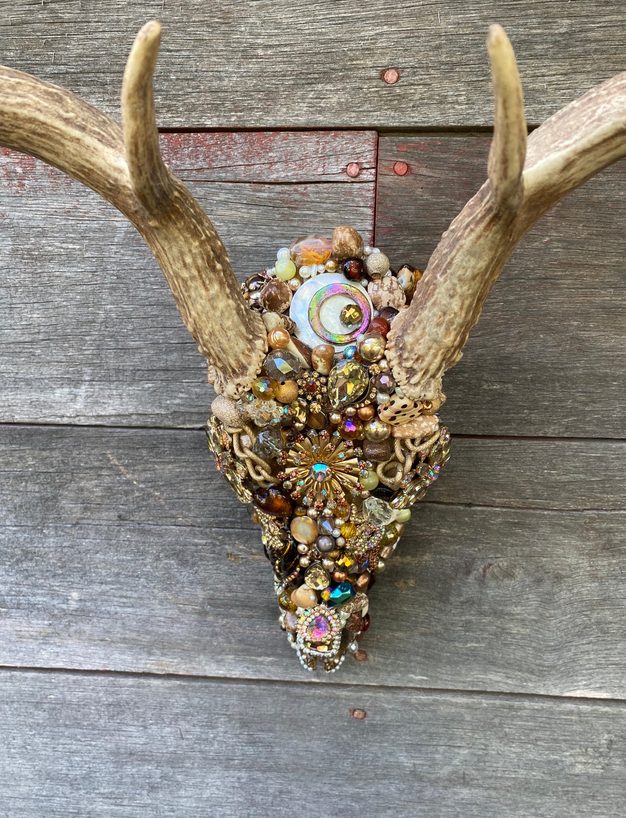 “Derrick” Texas Whitetail Deer Skull Art
