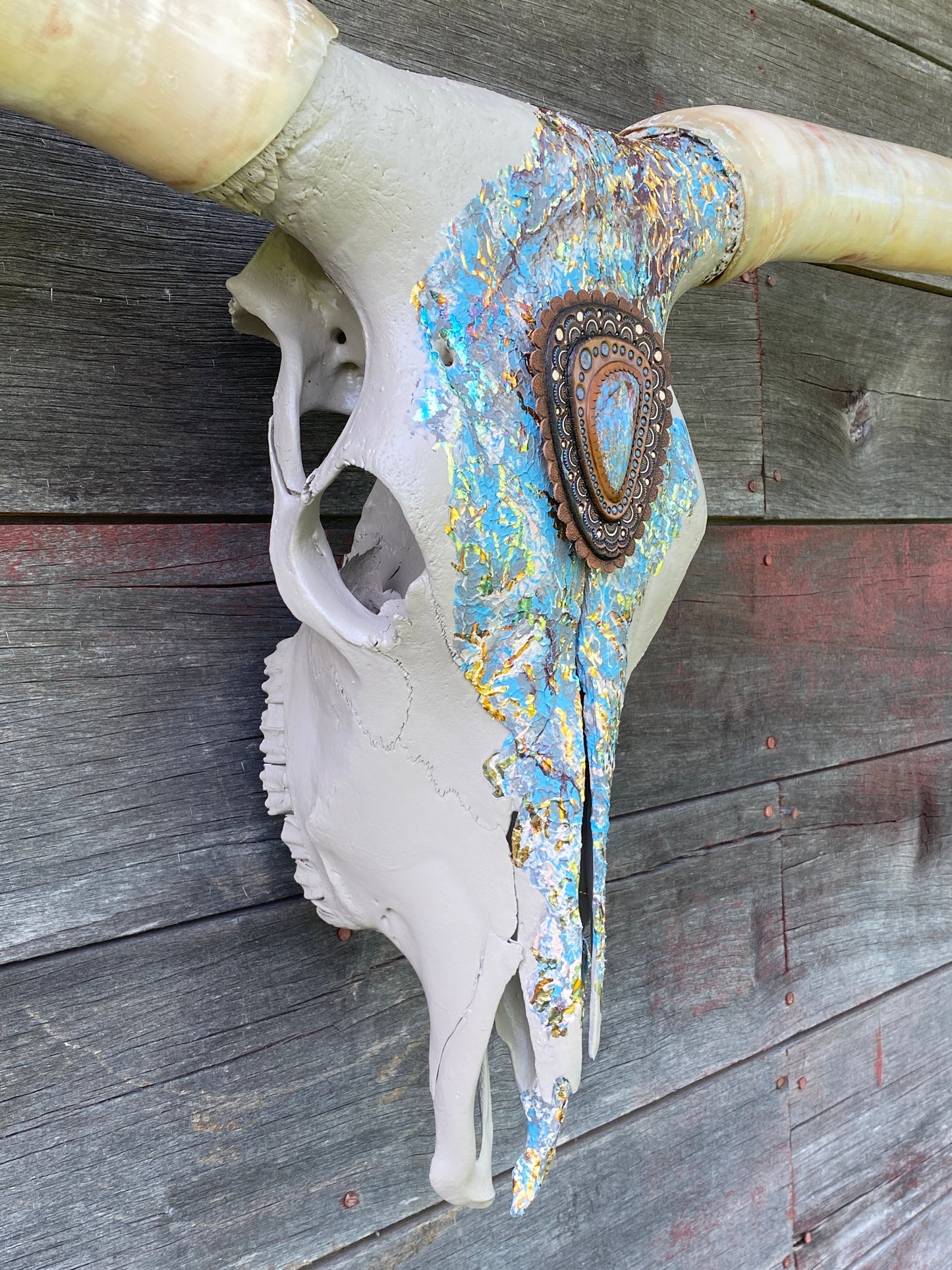 “Aurora” Texas Longhorn Skull Art