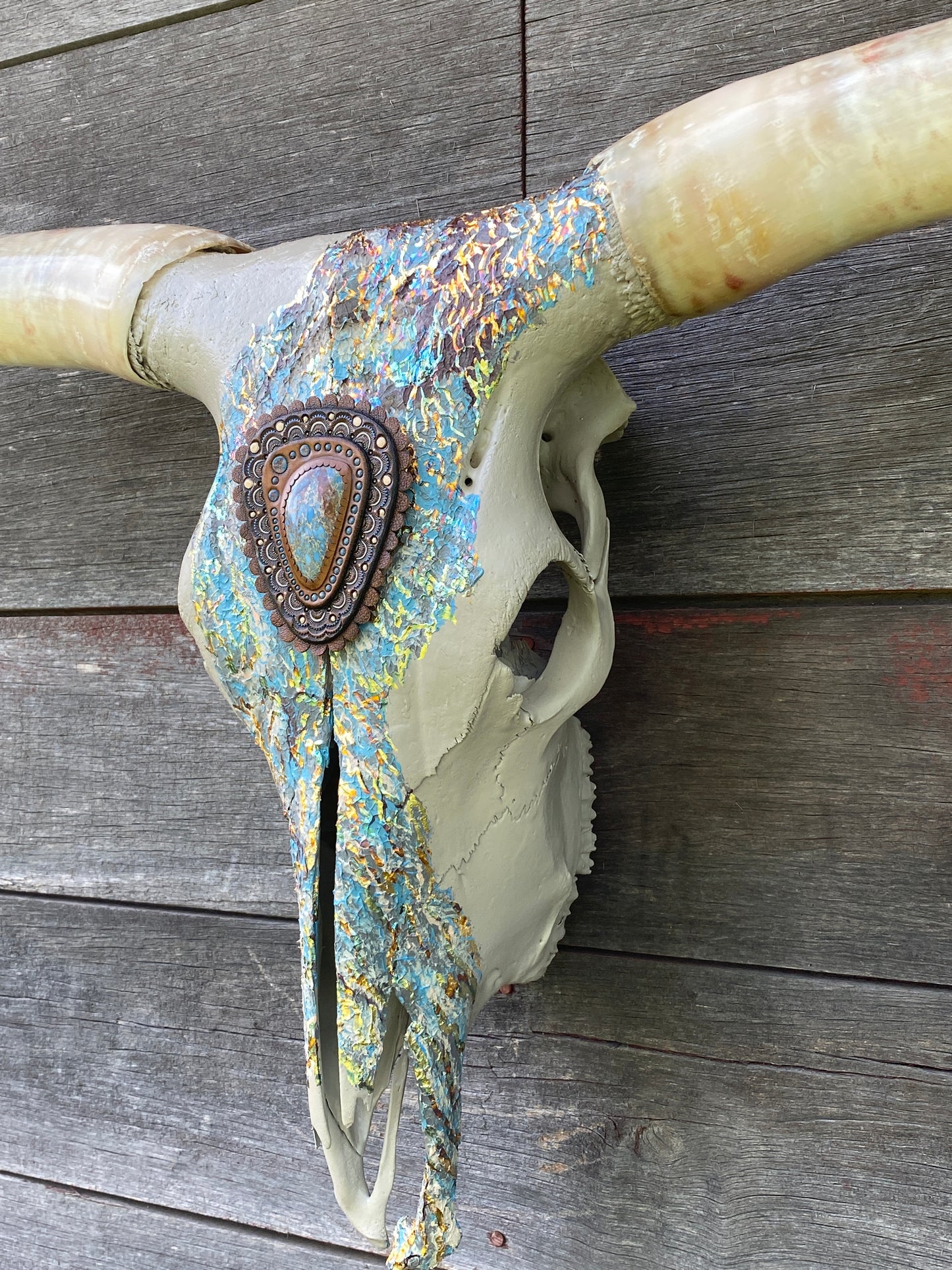 “Aurora” Texas Longhorn Skull Art