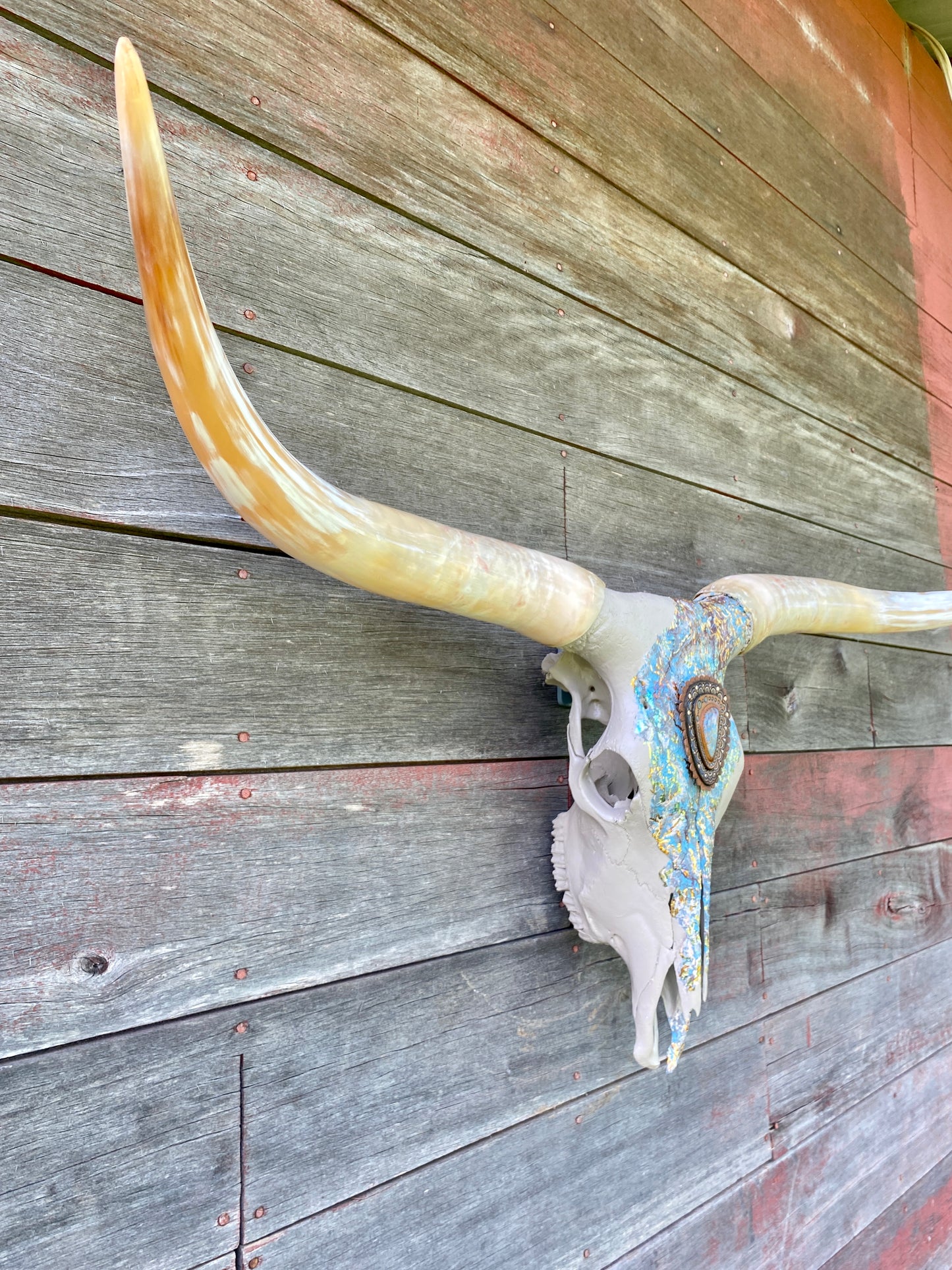 “Aurora” Texas Longhorn Skull Art