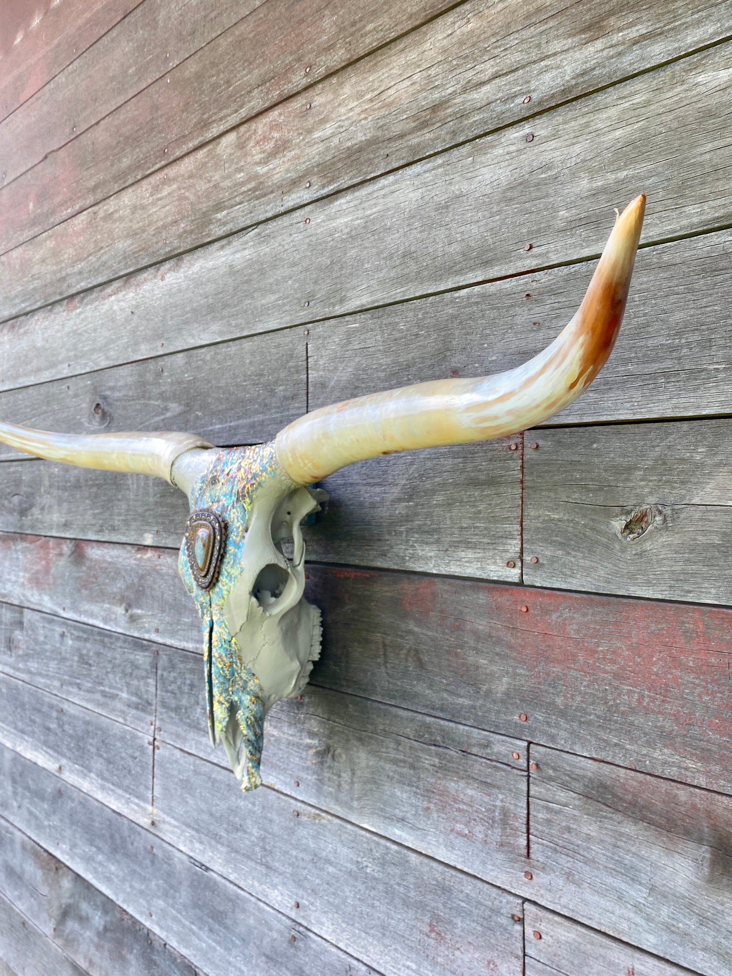 “Aurora” Texas Longhorn Skull Art