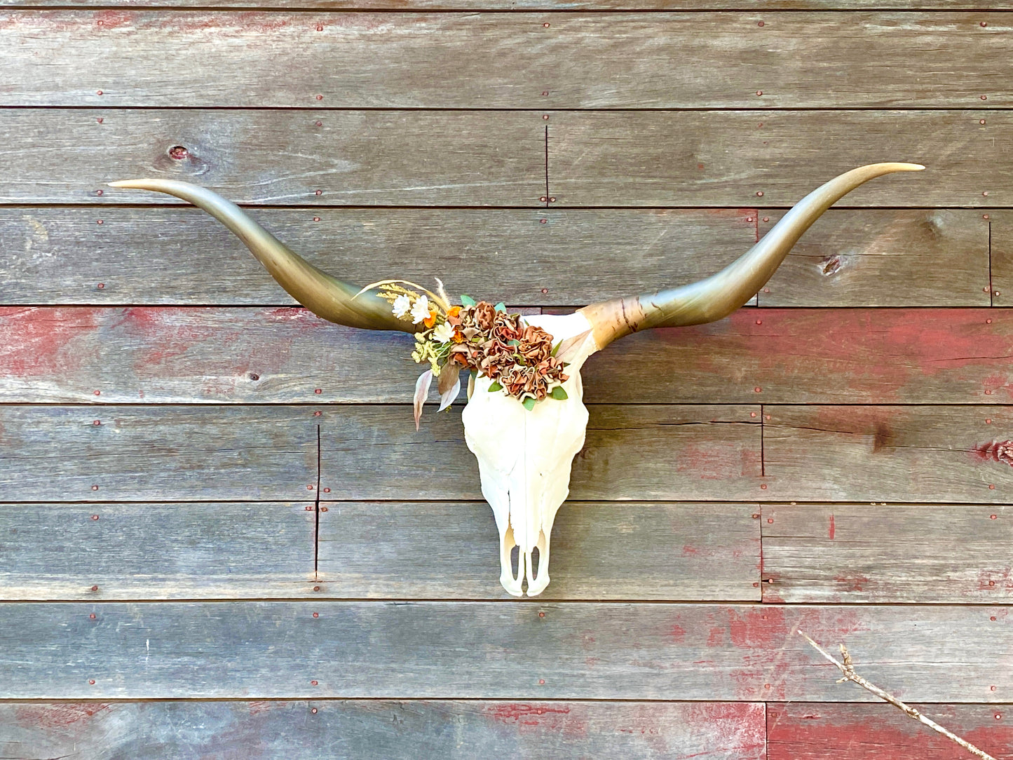 “Oakley” Genuine Texas Longhorn Skull Art