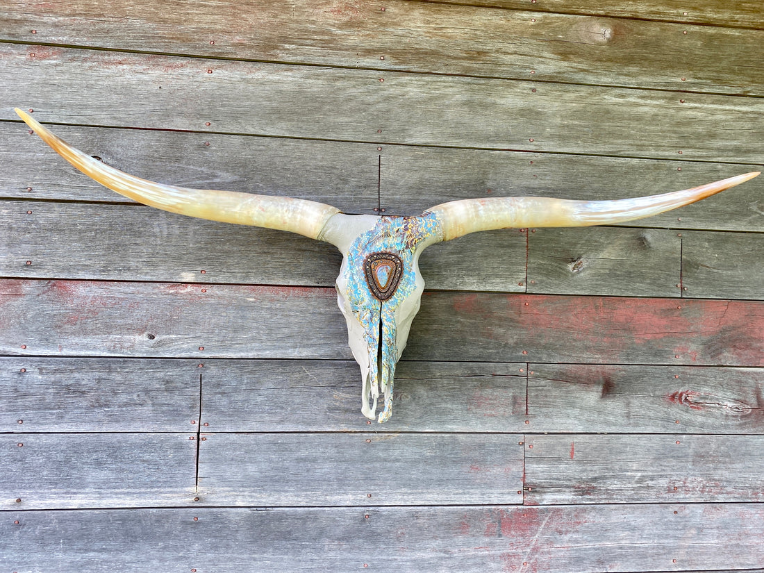 “Aurora” Texas Longhorn Skull Art