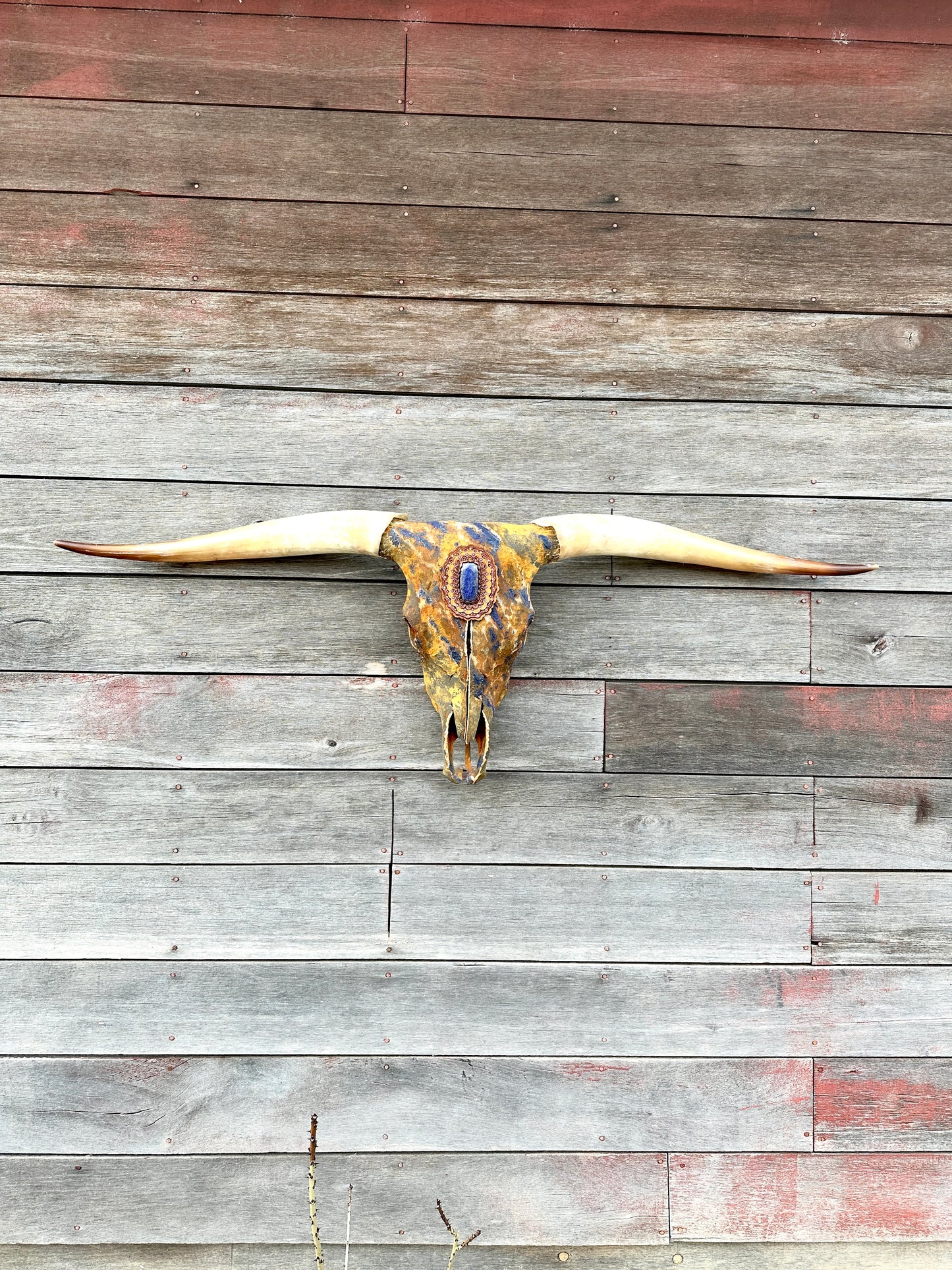 “Levi 2.0” Texas Longhorn Skull Art