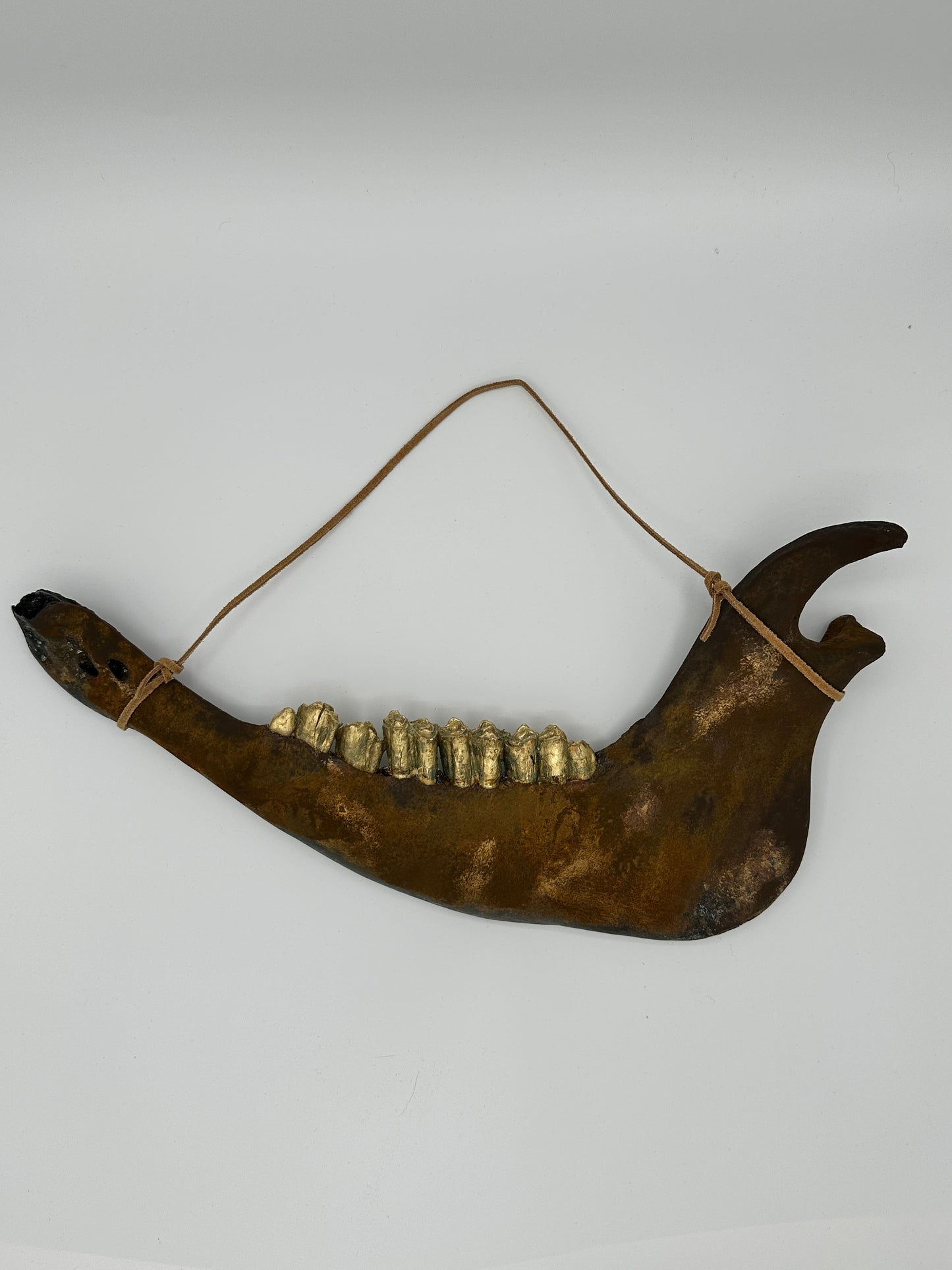 Texas Longhorn rust metallic jaw bone