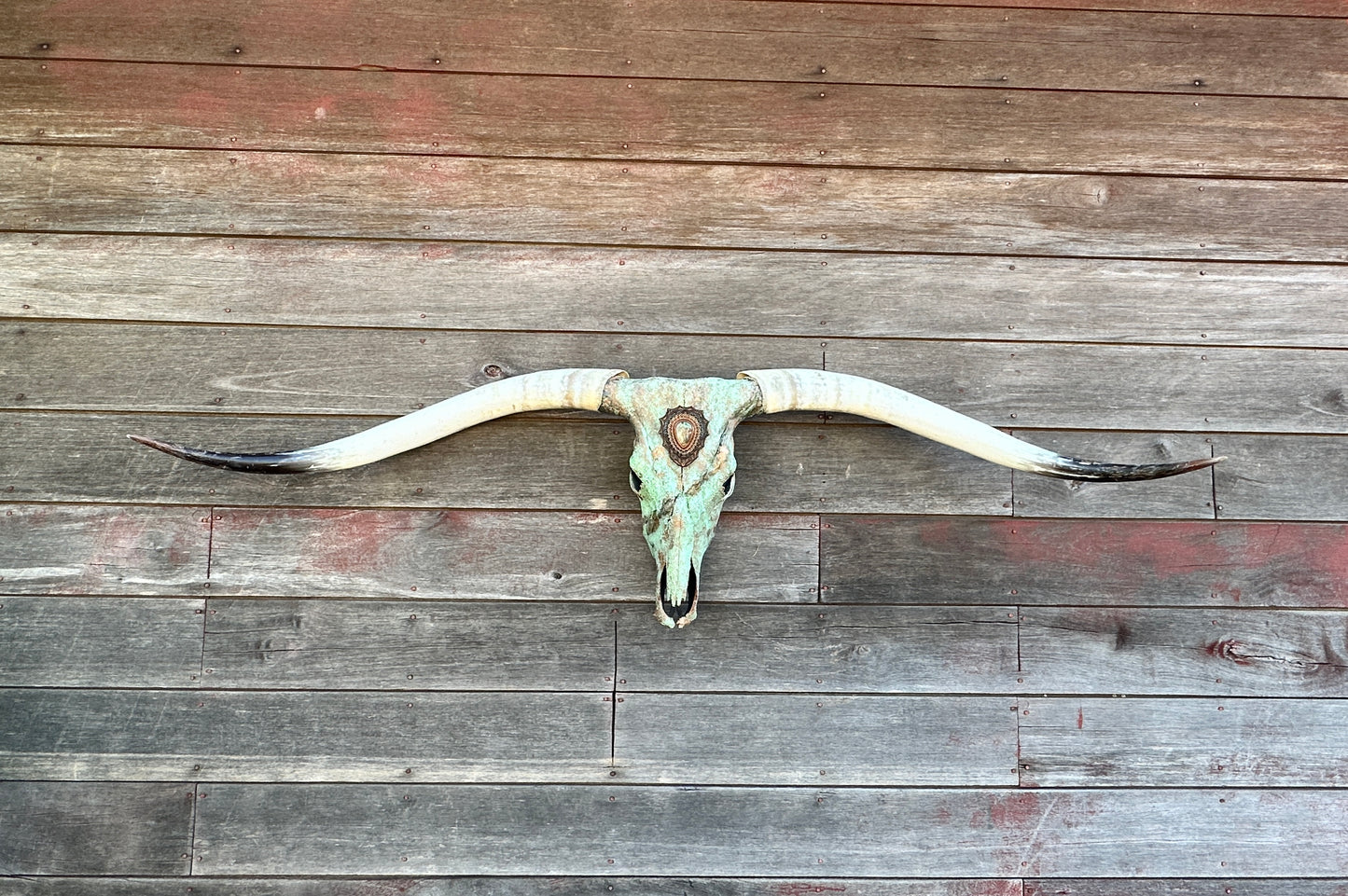 “Gustine” Texas Longhorn Skull Art