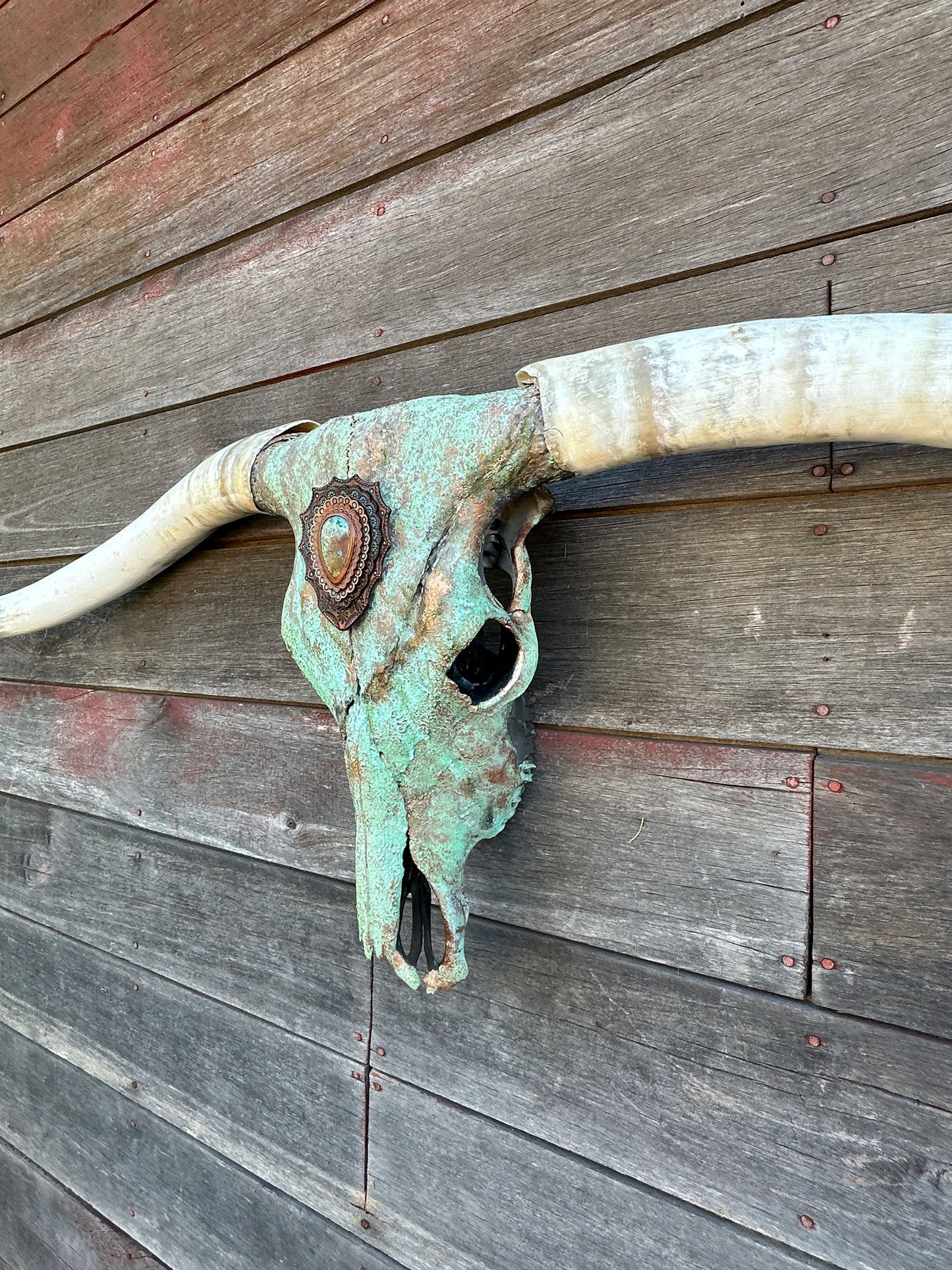 “Gustine” Texas Longhorn Skull Art