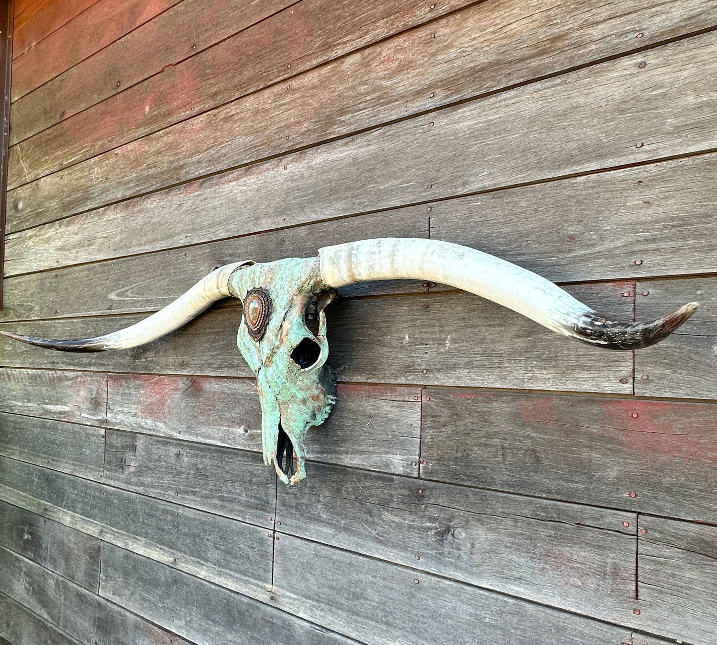 “Gustine” Texas Longhorn Skull Art